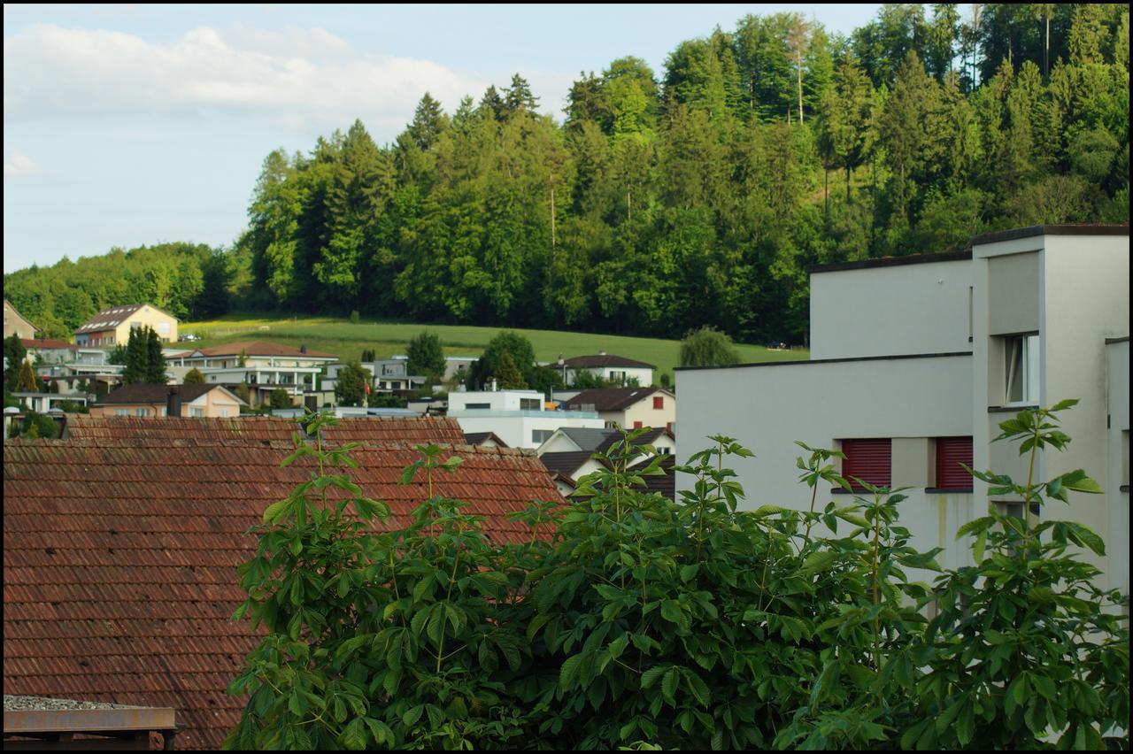 Gasthof Kastanienbaum Hotel Hunzenschwil Luaran gambar